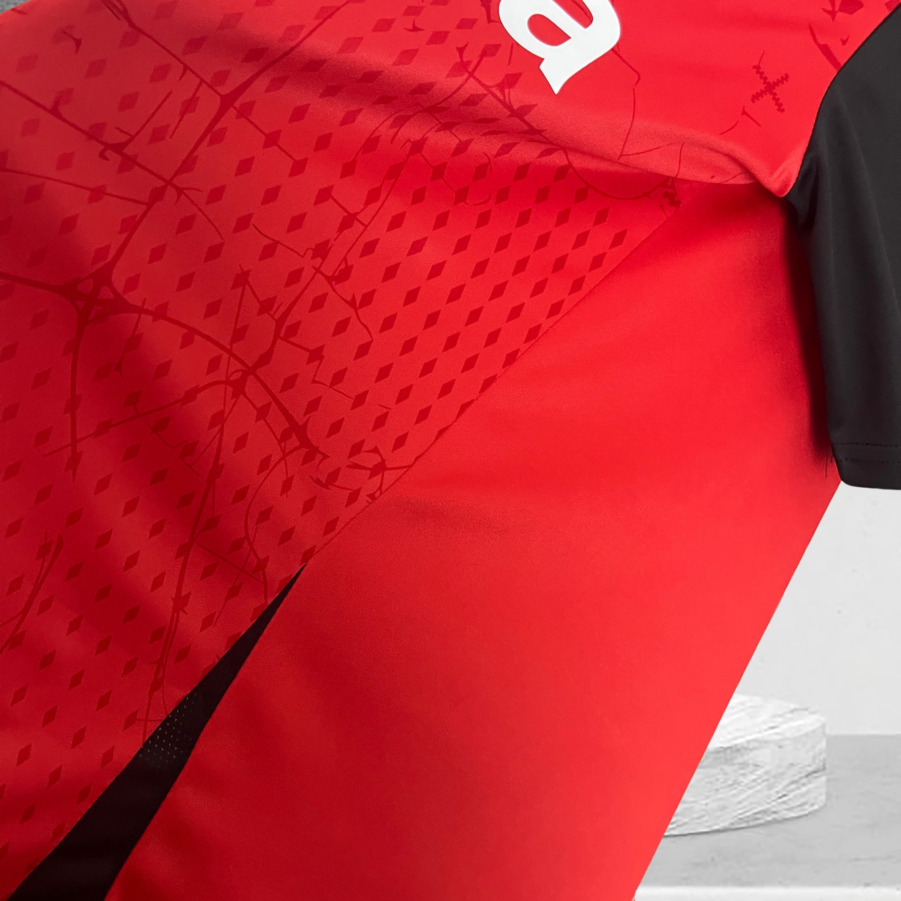 Bayer 04 Leverkusen 2024–2025 Hjemmedrakt
