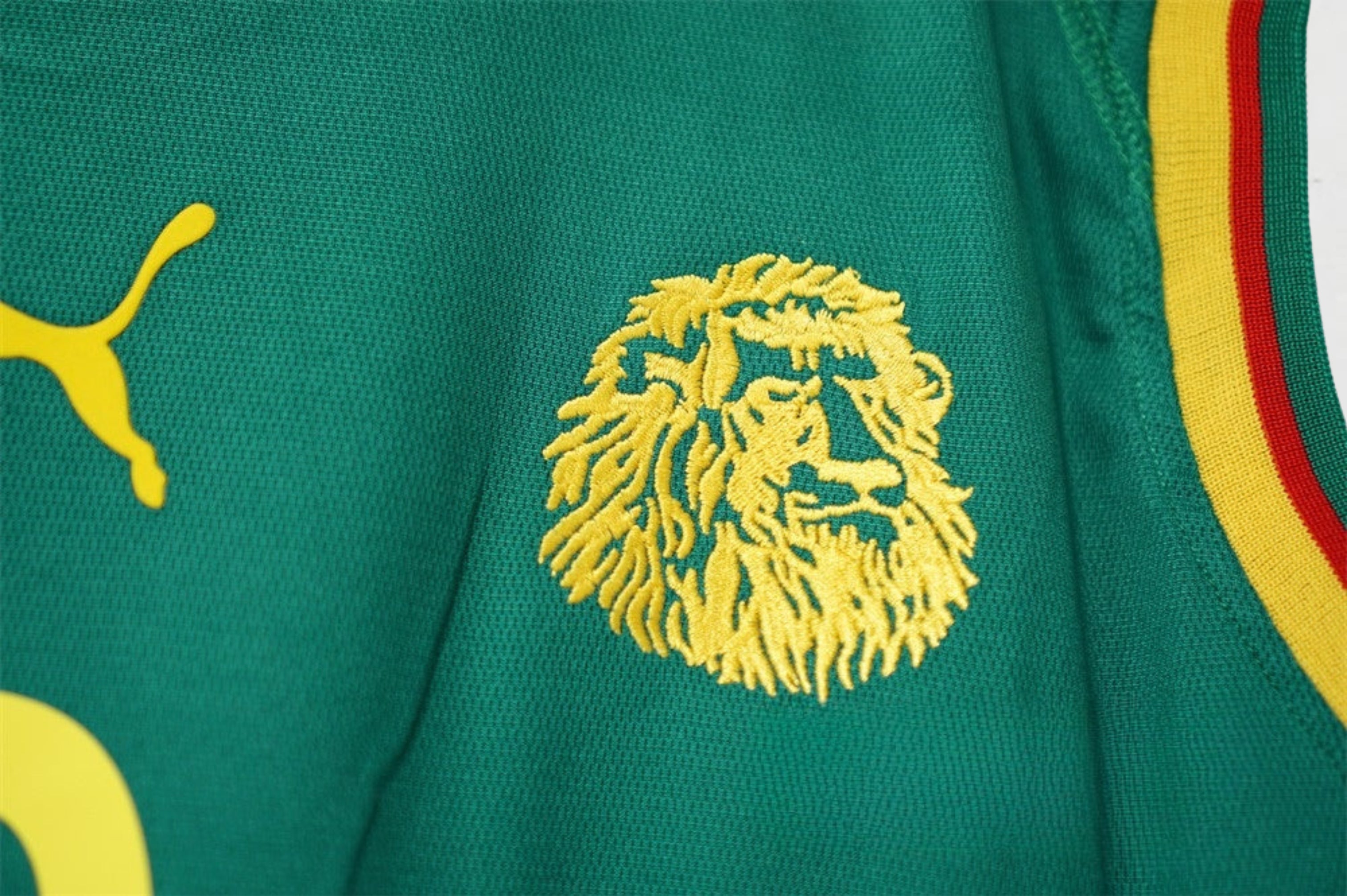 Kamerun 2002 Hjemmedrakt