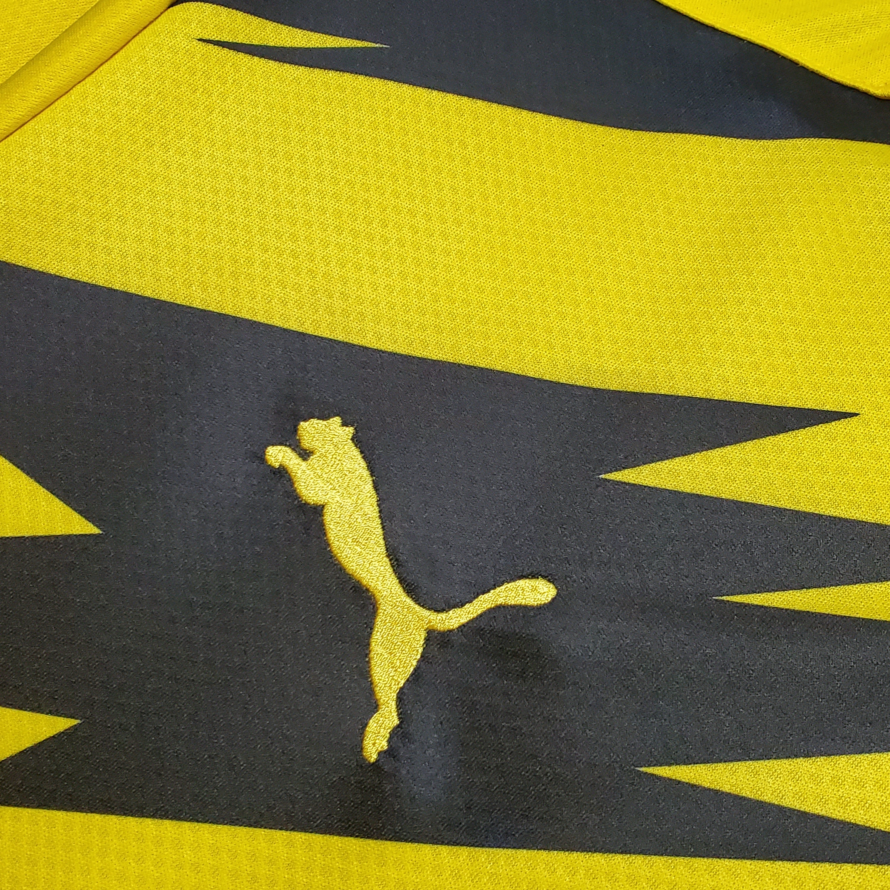 Borussia Dortmund 2020–2021 Hjemmedrakt
