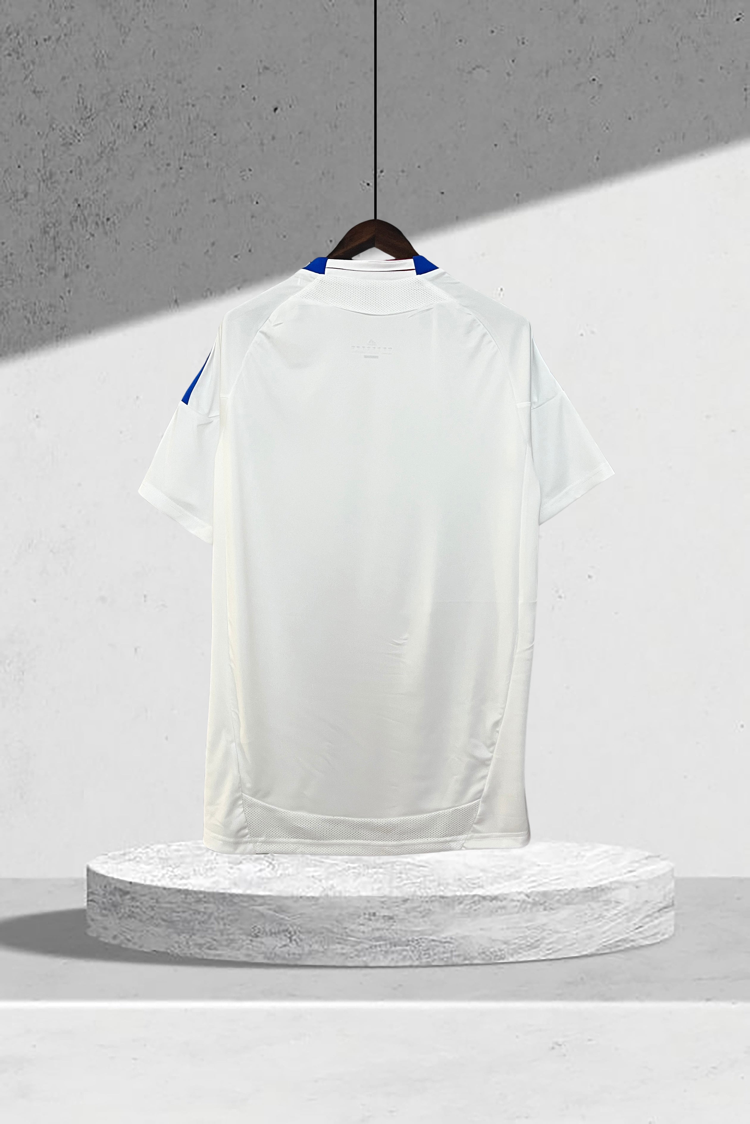Olympique Lyonnais 2010–2011 Hjemmedrakt