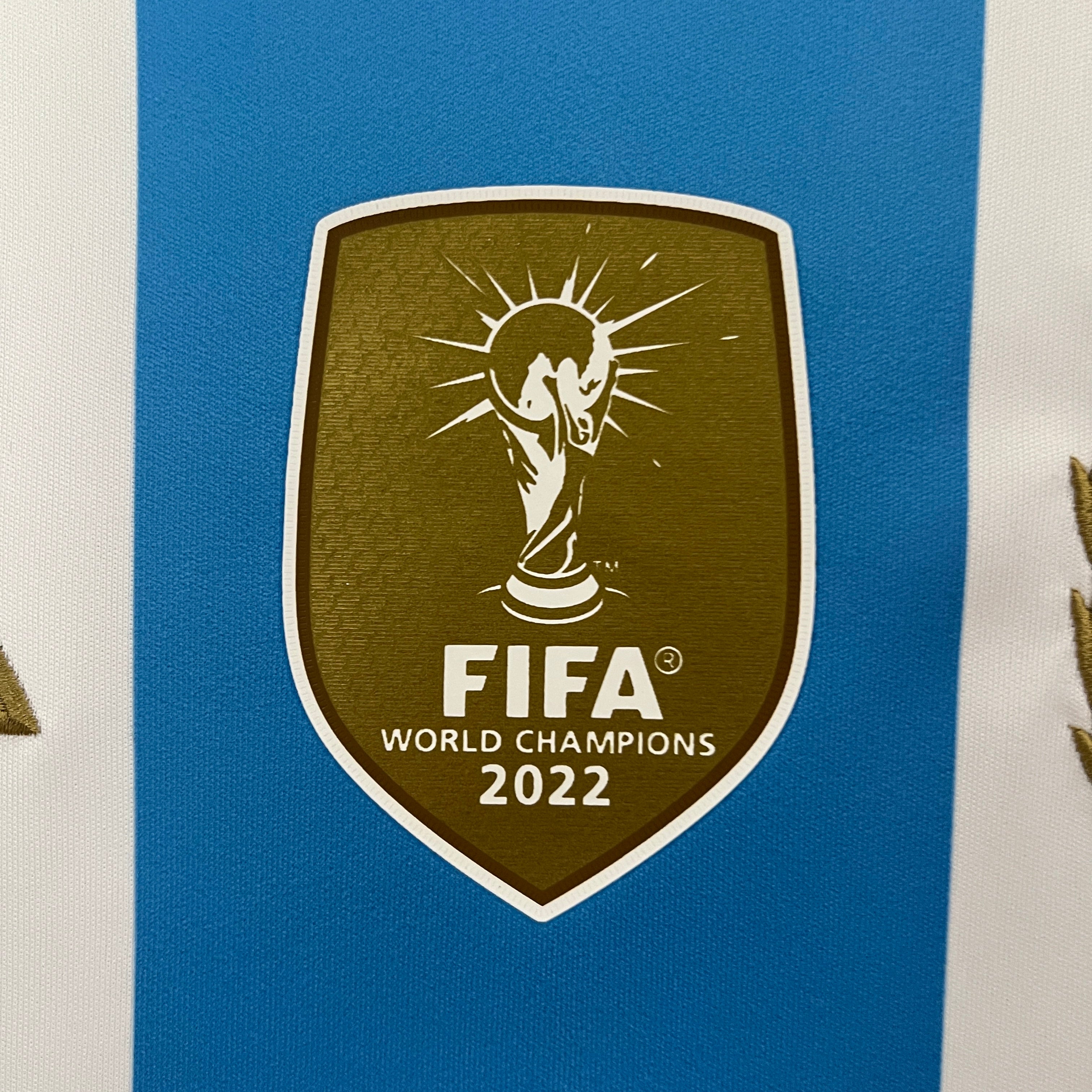 Argentina 2024 Hjemmedrakt